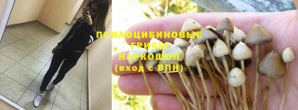 индика Верхний Тагил