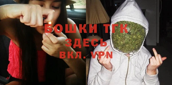 индика Верхний Тагил