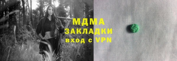 индика Верхний Тагил