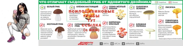 дурь Володарск