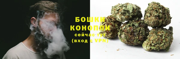 индика Верхний Тагил