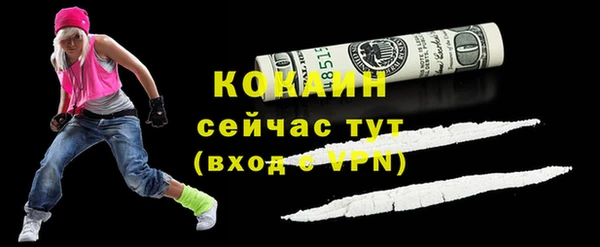 индика Верхний Тагил