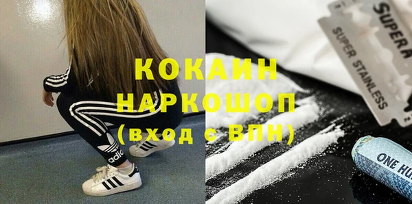 индика Верхний Тагил