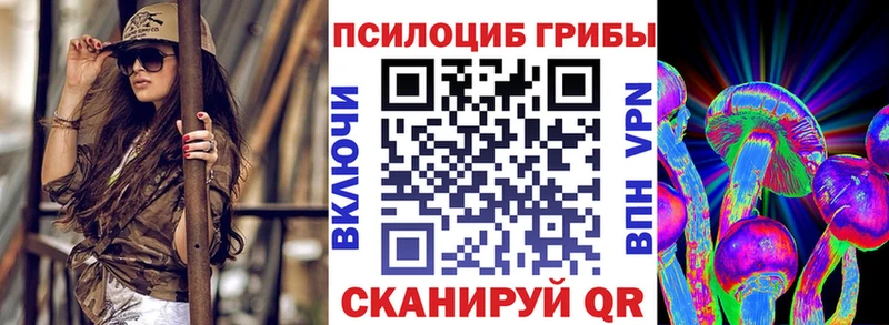 Псилоцибиновые грибы мицелий  купить   ссылка на мегу ссылки  Каменск-Шахтинский 